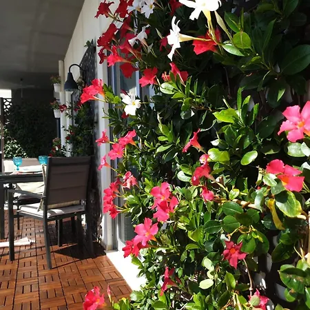 Mshomes Ii Lejlighed Albufeira