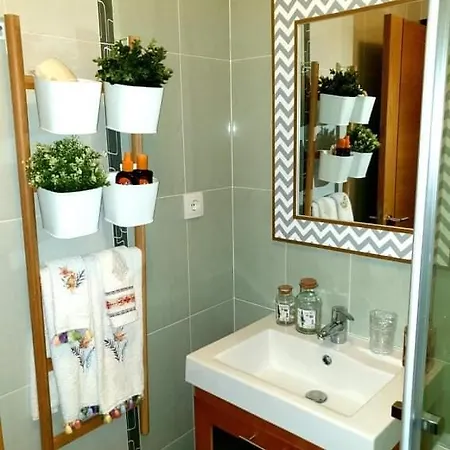 Mshomes Ii アルブフェイラ